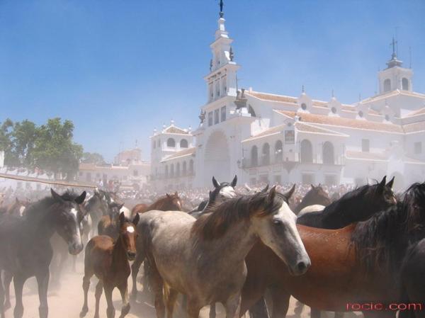 Casa Rural Donana 51 El Rocio Luaran gambar
